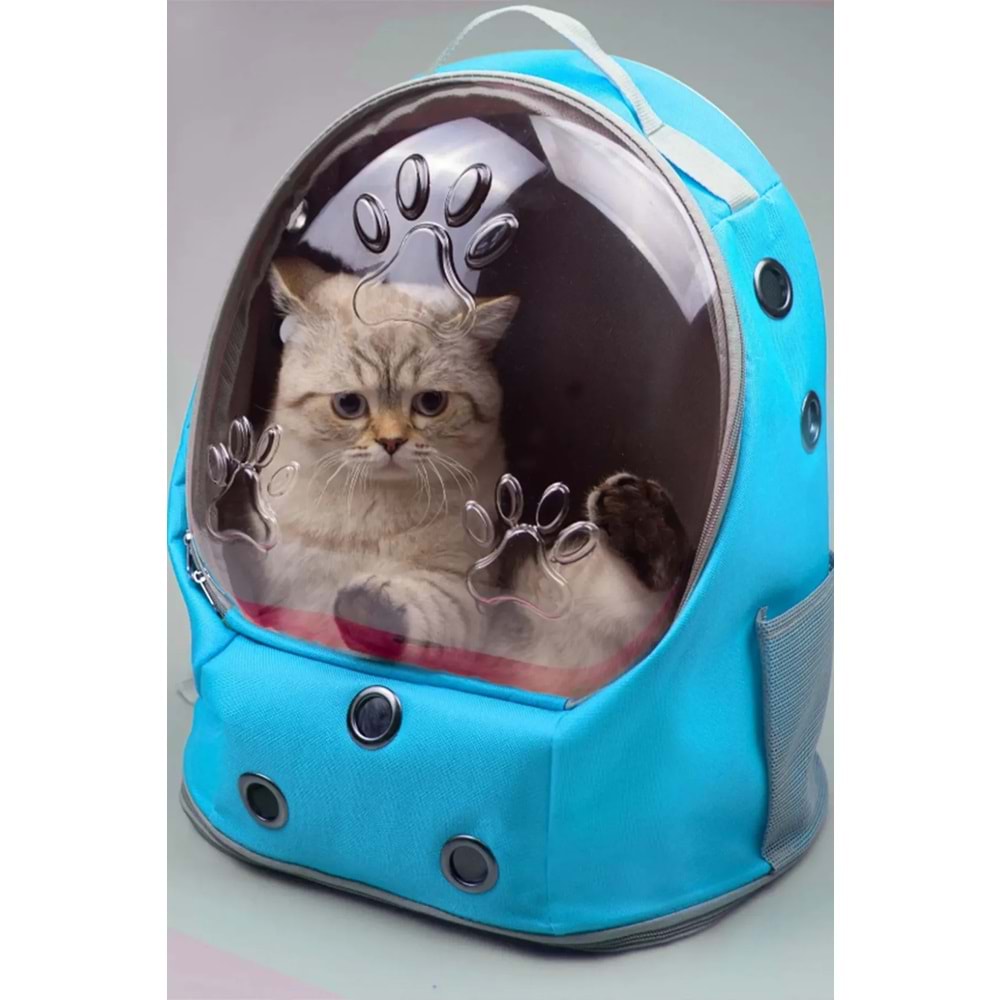 ARMONİ UFO KABUKLU KEDİ VE KÖPEK SIRT TAŞIMA ÇANTASI