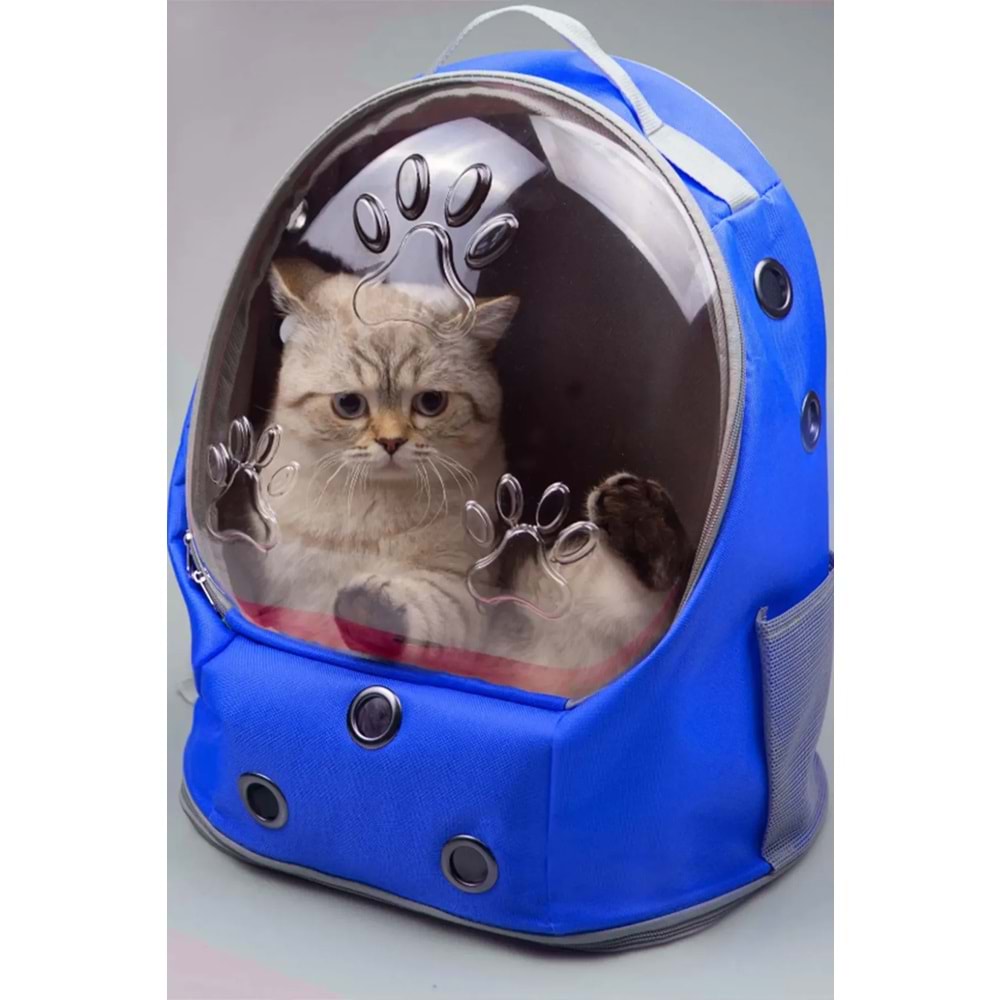 ARMONİ UFO KABUKLU KEDİ VE KÖPEK SIRT TAŞIMA ÇANTASI